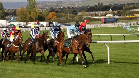 bettingexpert cheltenham|bettingexpert's Horse Racing Video Tips .